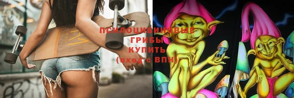 гашик Верхний Тагил