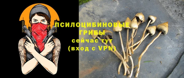 метадон Верея